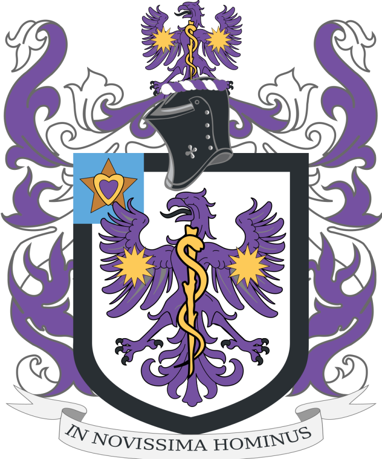 Shield image