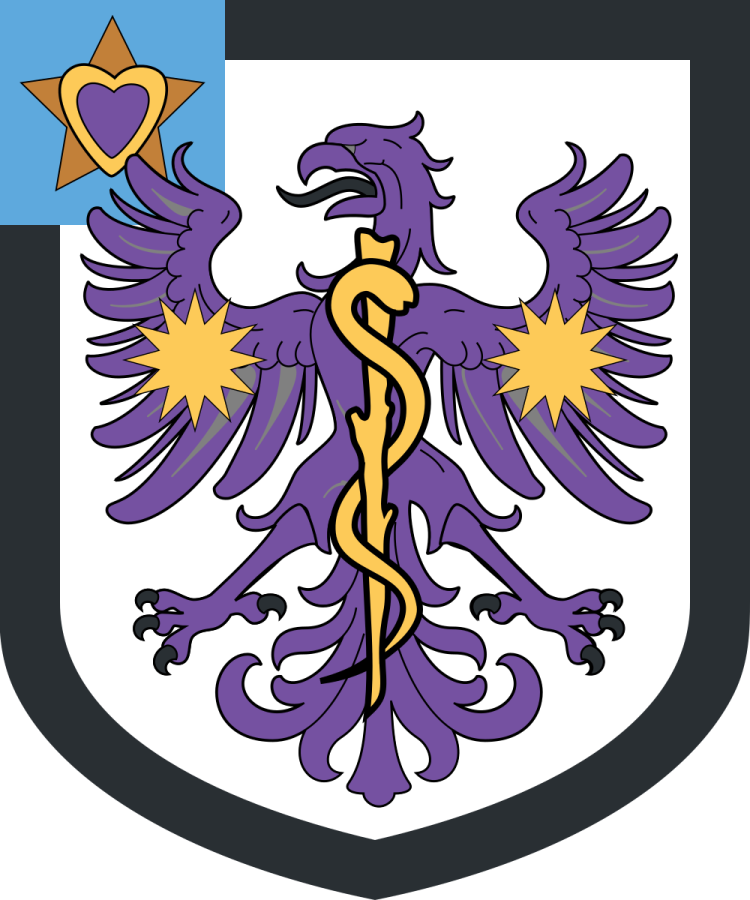 Shield image