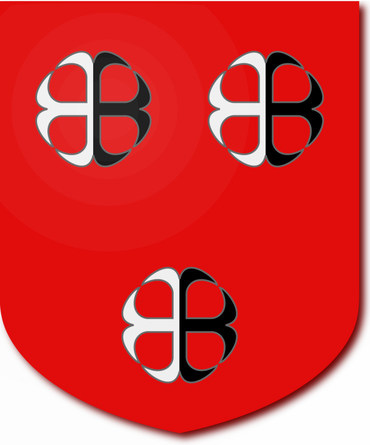 Shield image