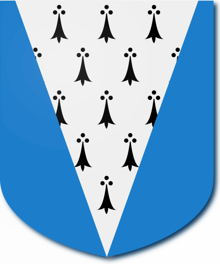 Shield image