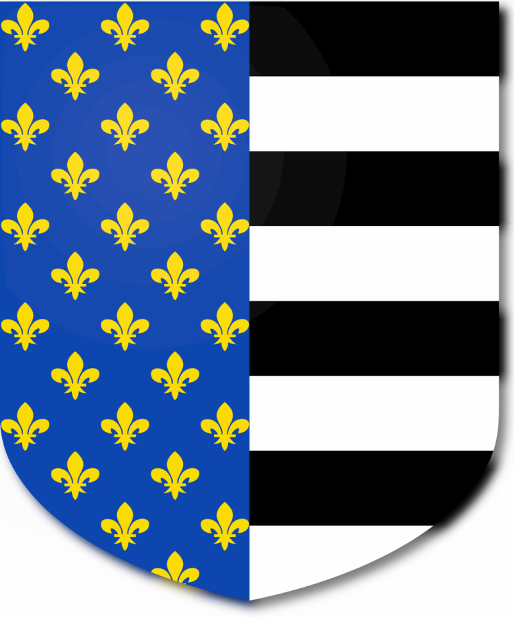 Shield image