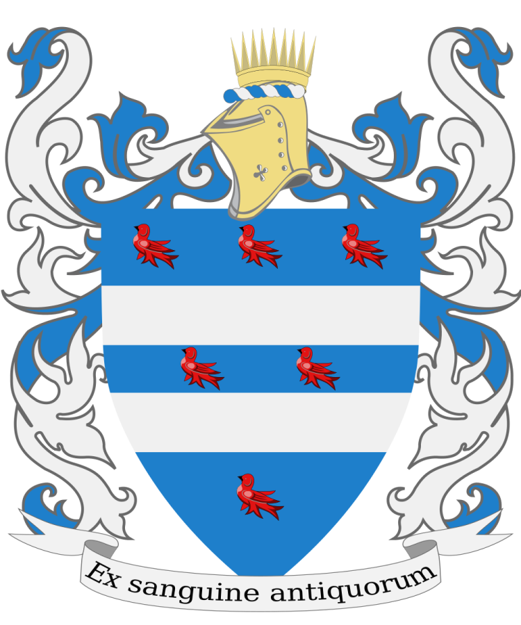 Shield image