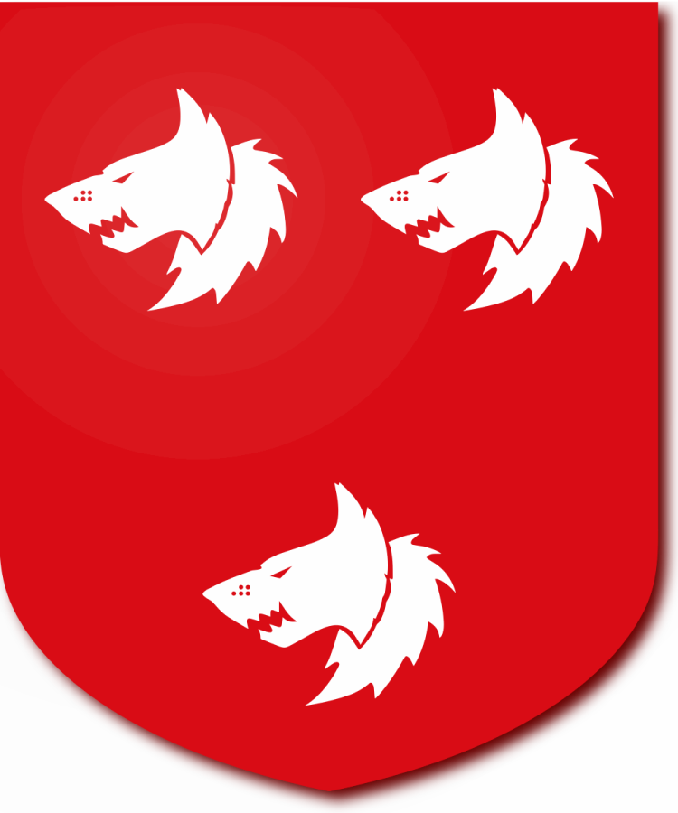 Shield image