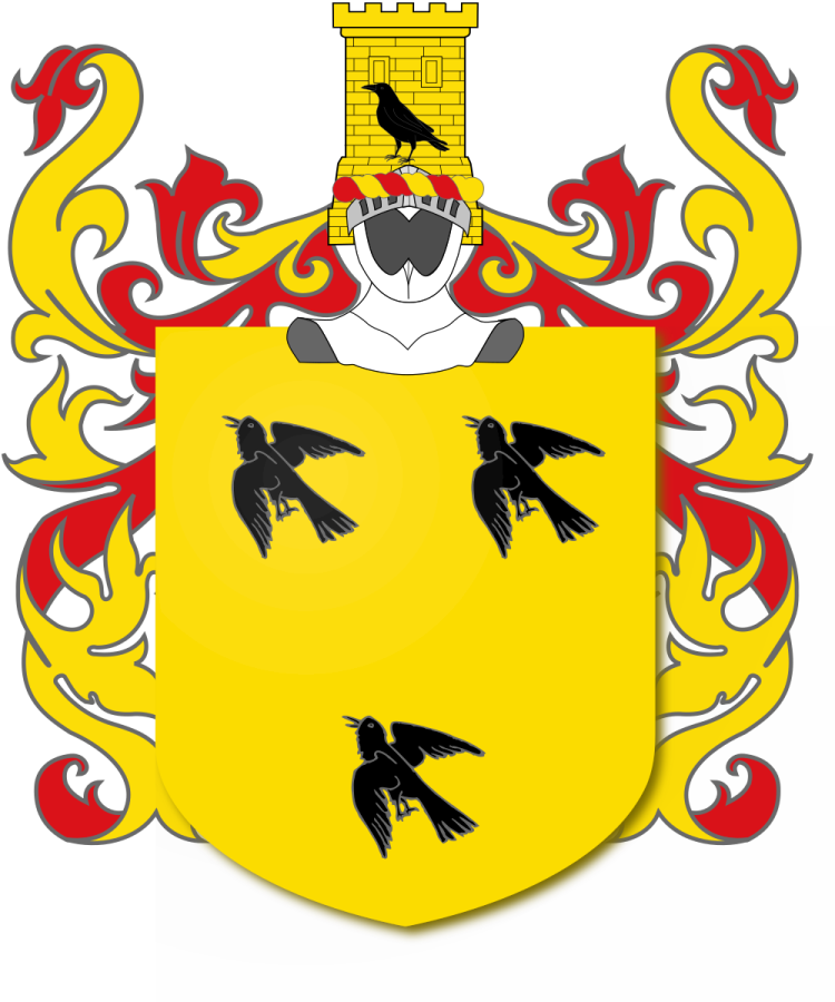 Shield image