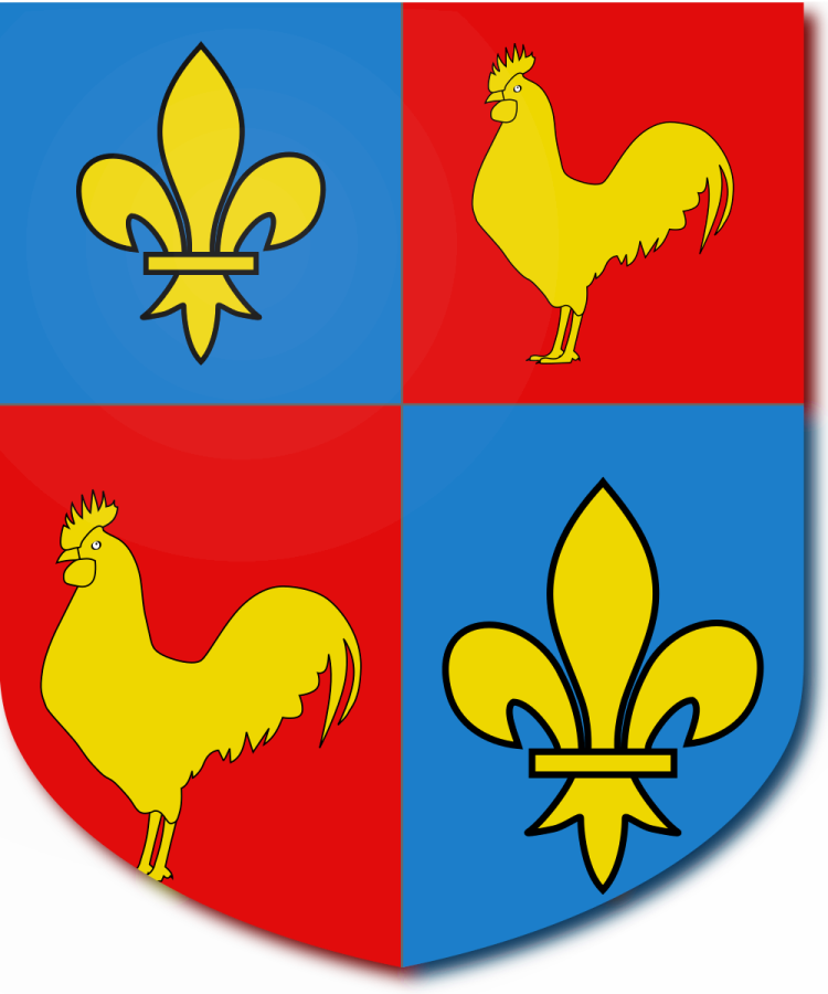 Shield image