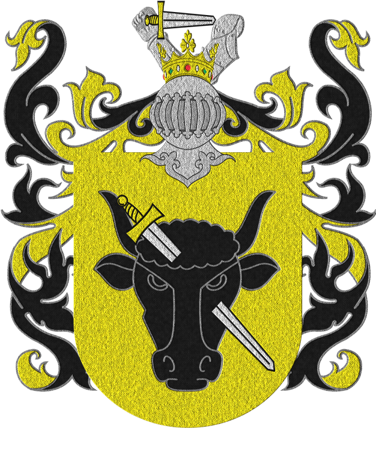 Shield image