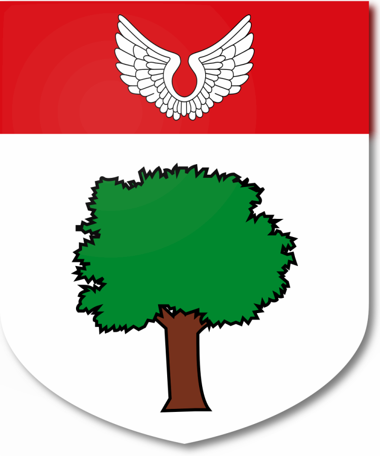 Shield image