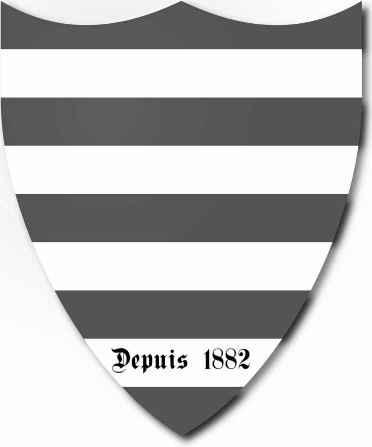 Shield image