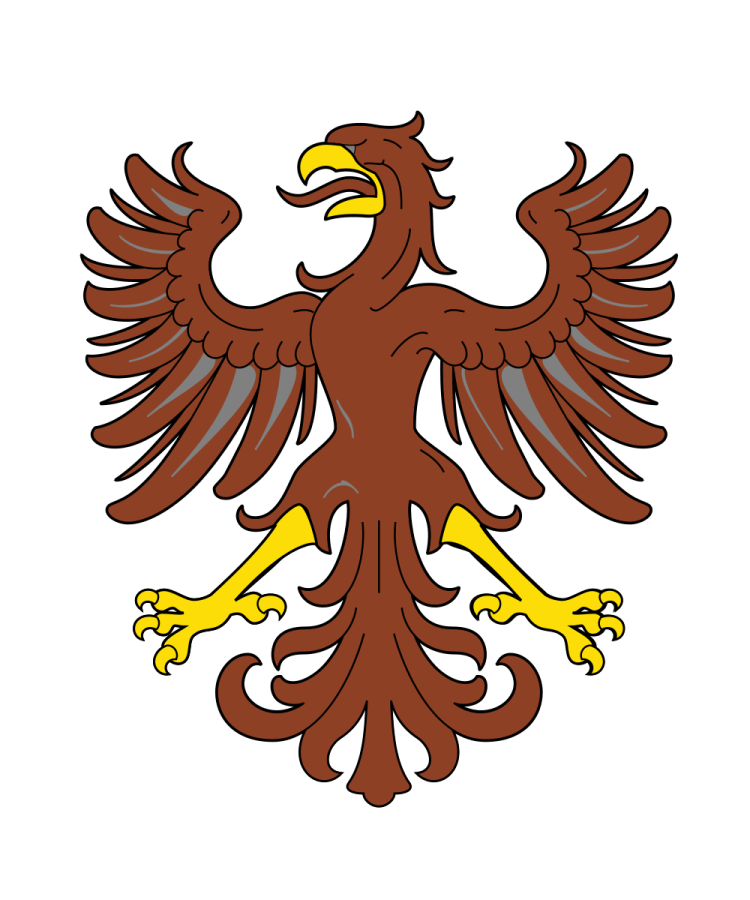 Shield image