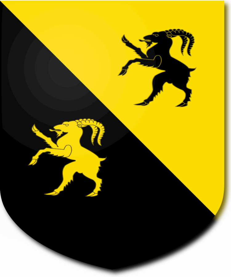 Shield image