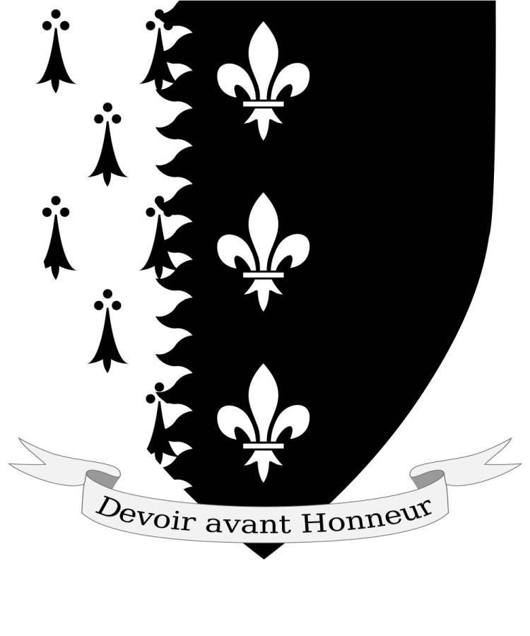 Shield image