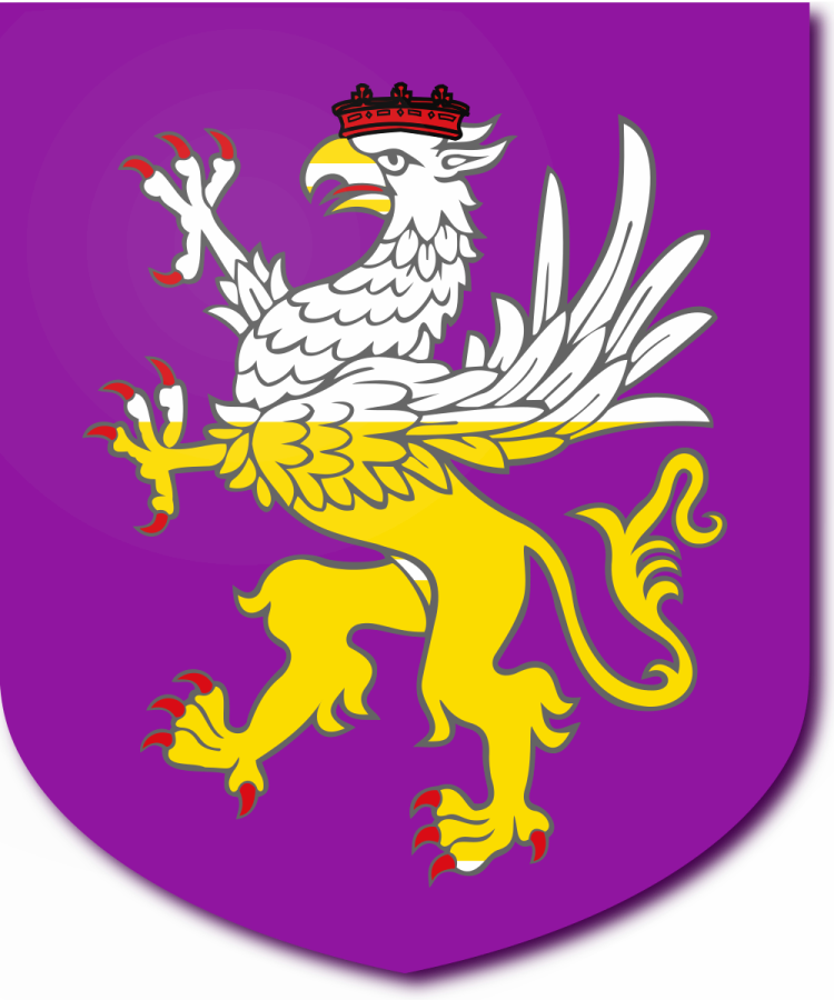 Shield image