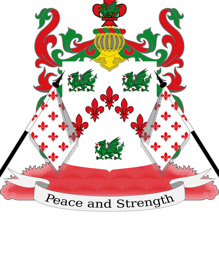 Shield image