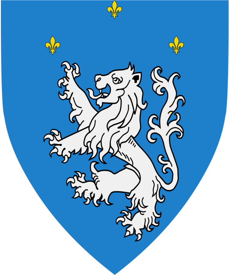 Shield image