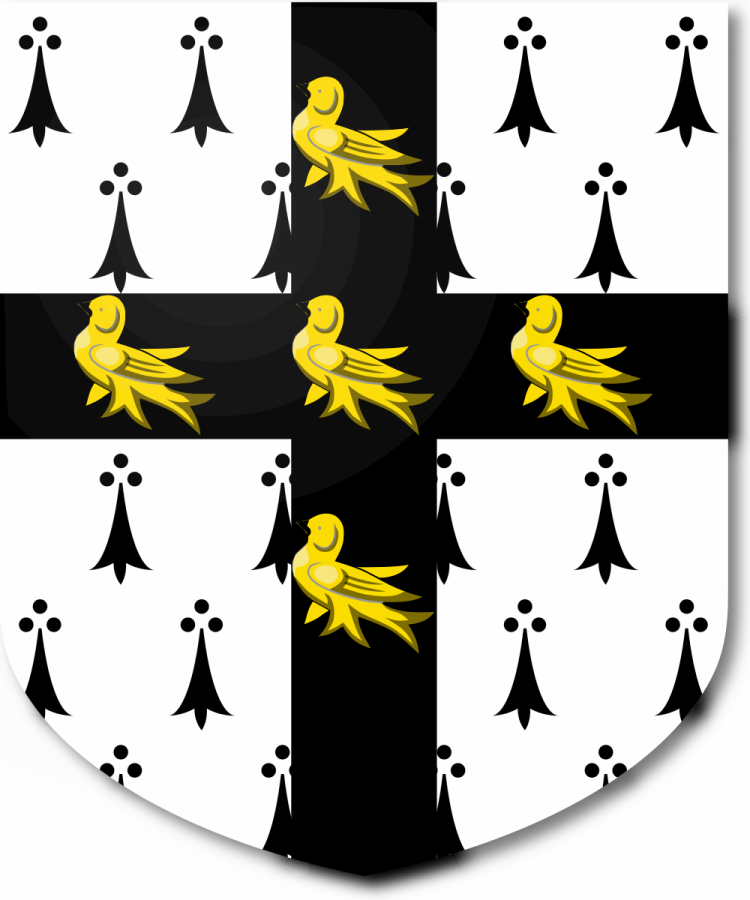 Shield image