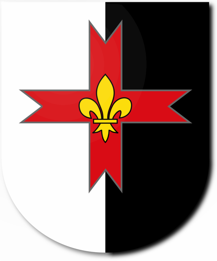 Shield image