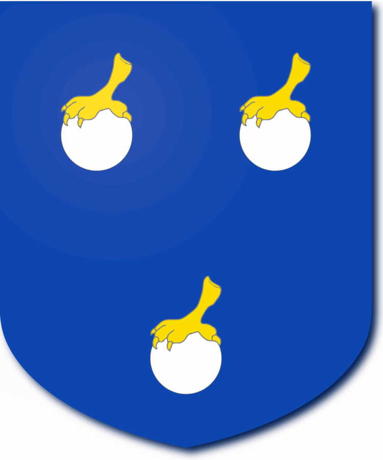 Shield image