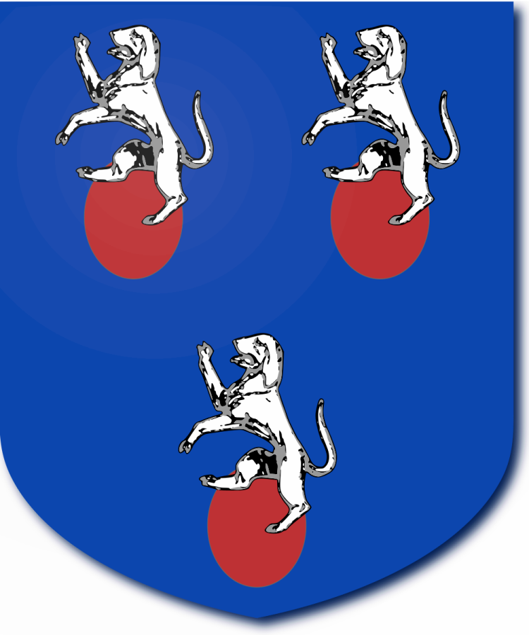 Shield image