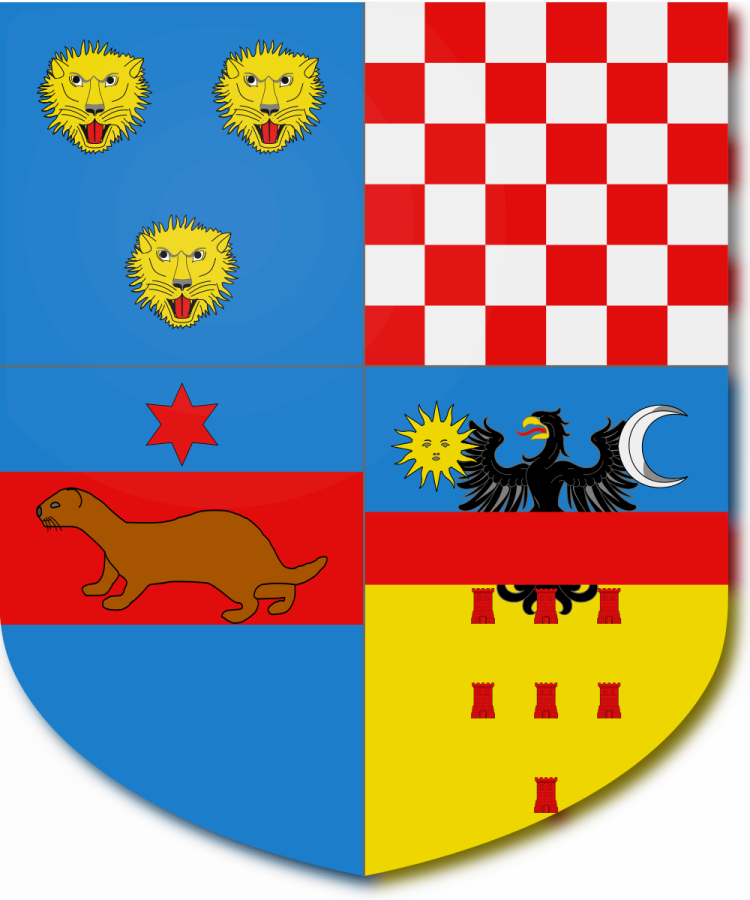 Shield image