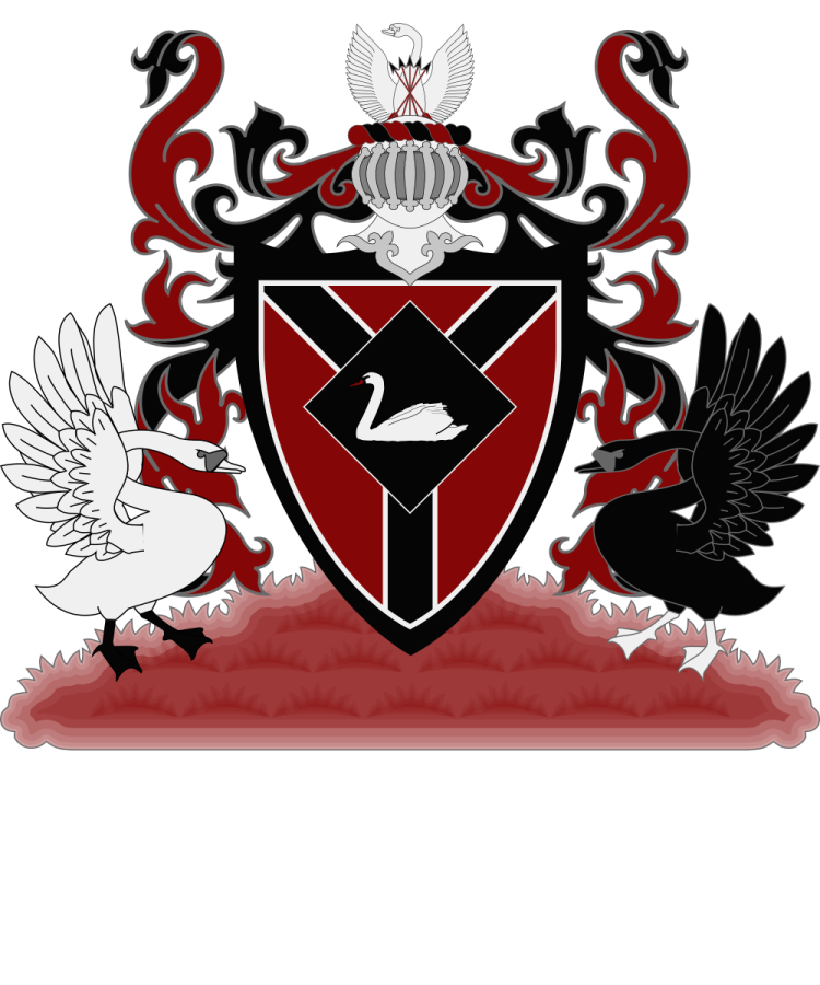 Shield image