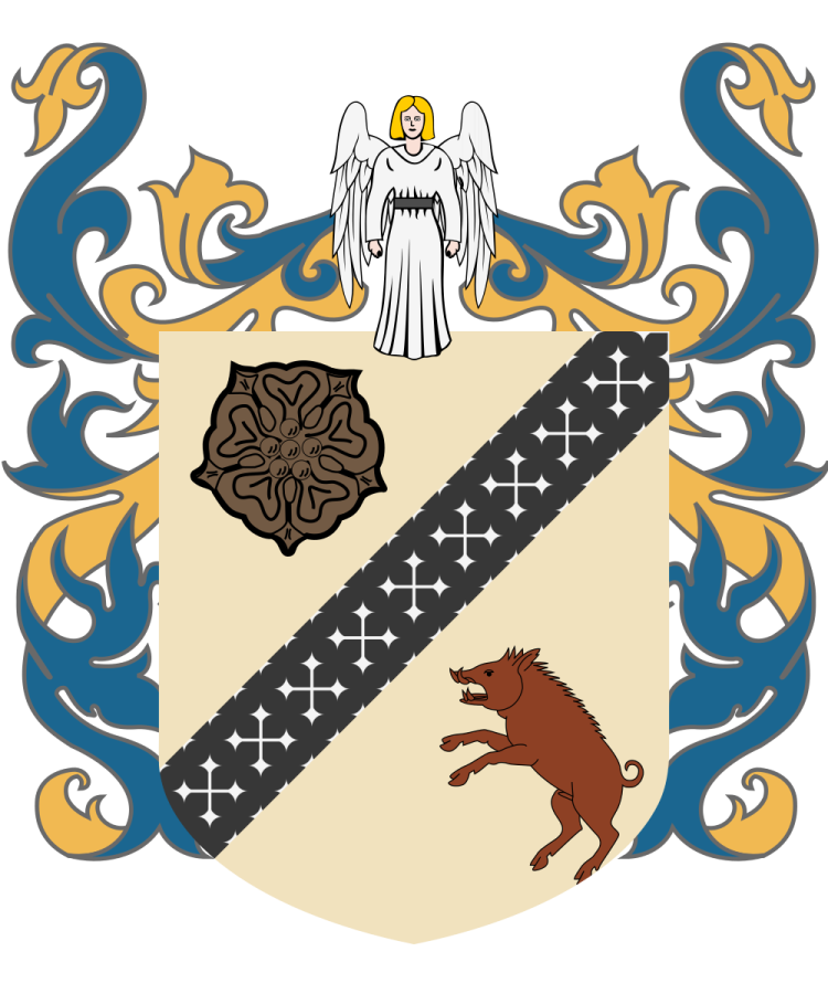 Shield image