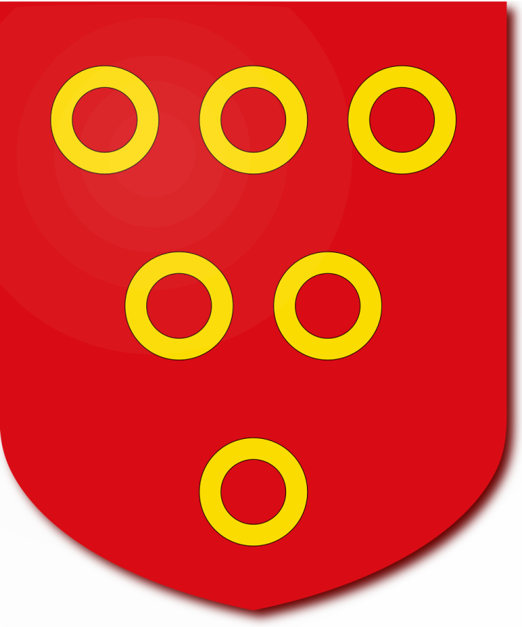 Shield image