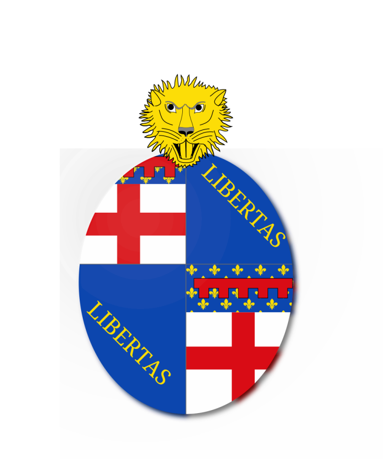 Shield image