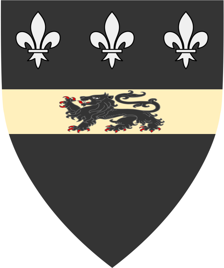 Shield image