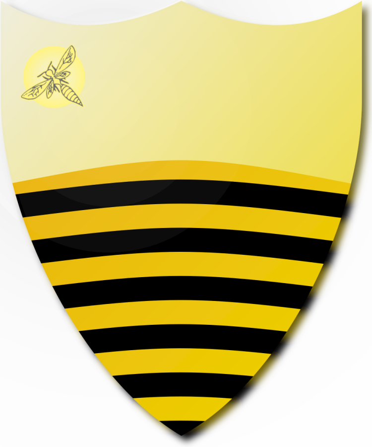 Shield image