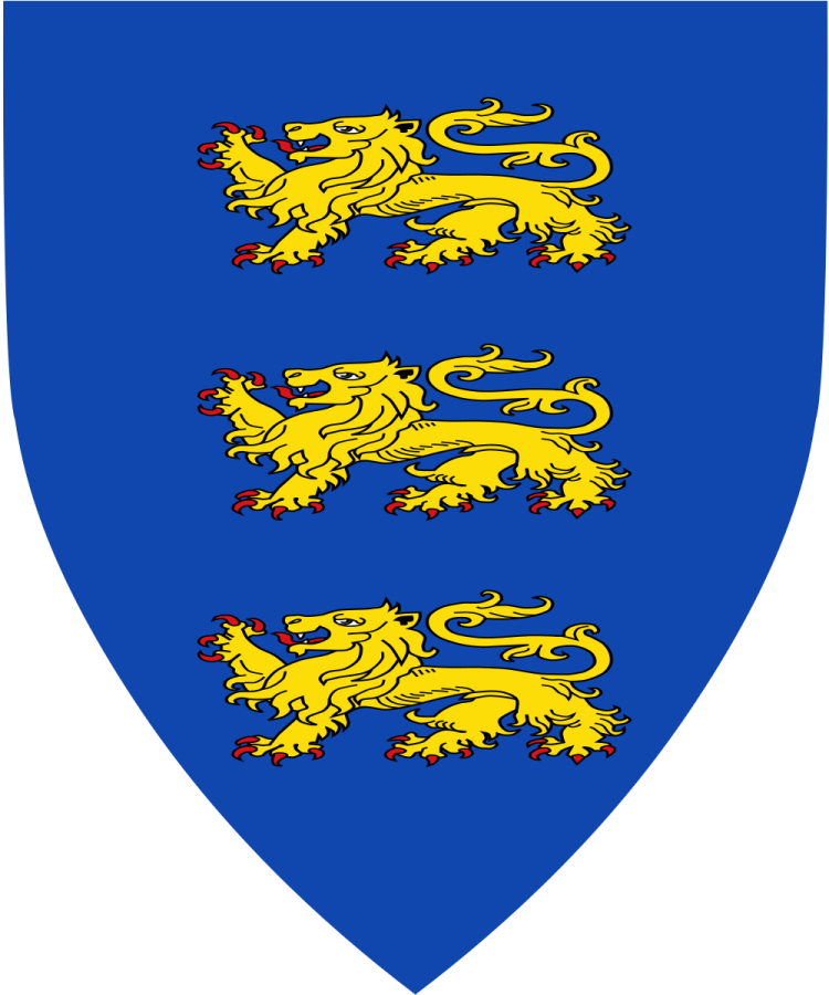 Shield image