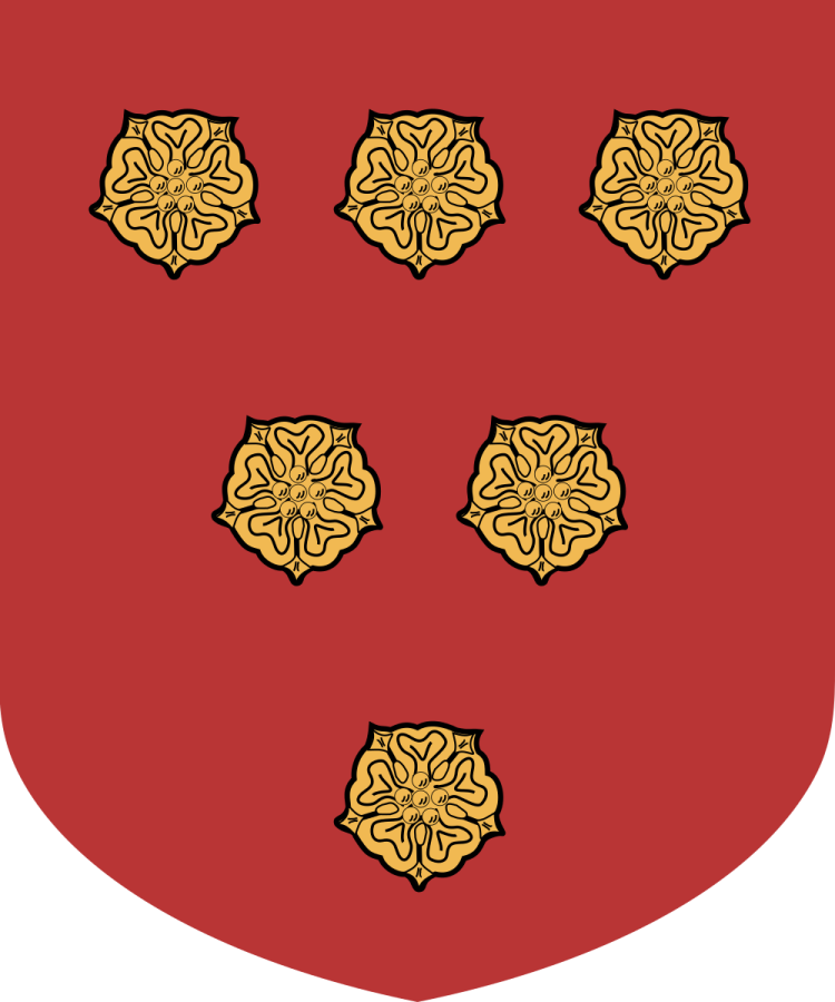 Shield image