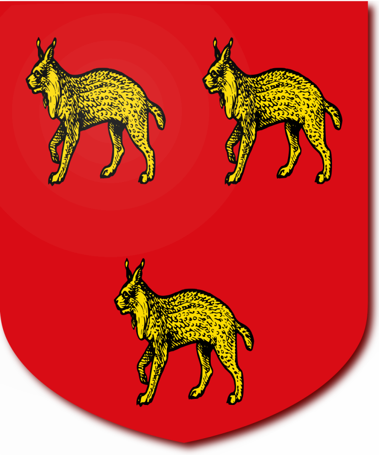 Shield image