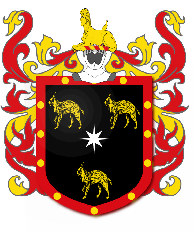 Shield image