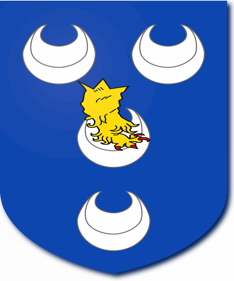 Shield image