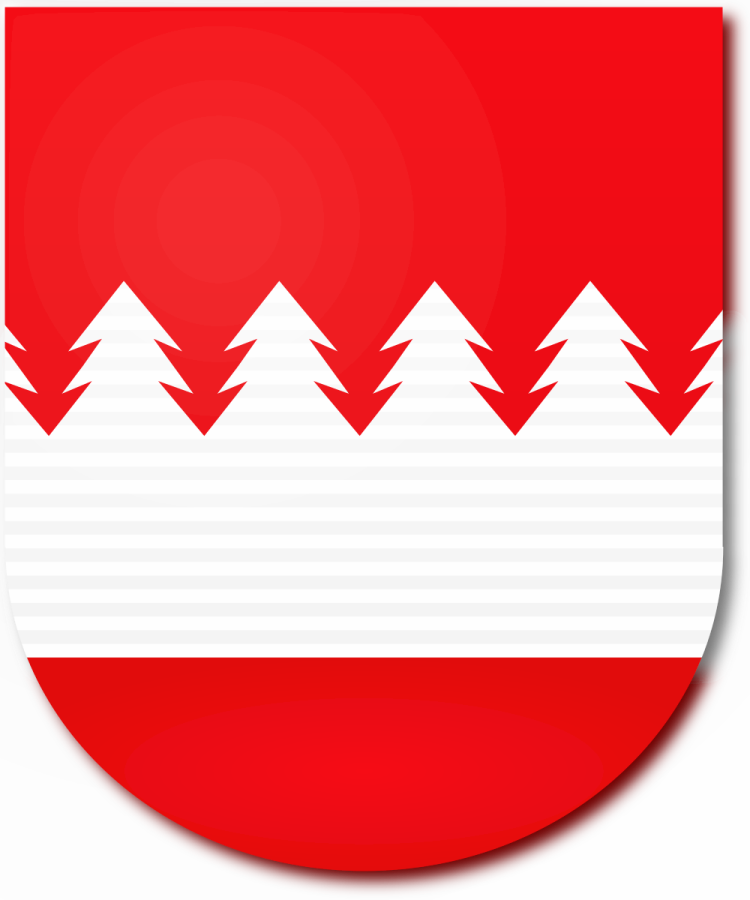 Shield image