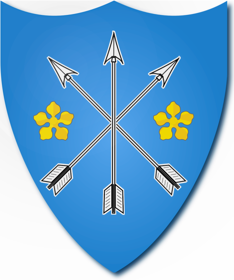 Shield image