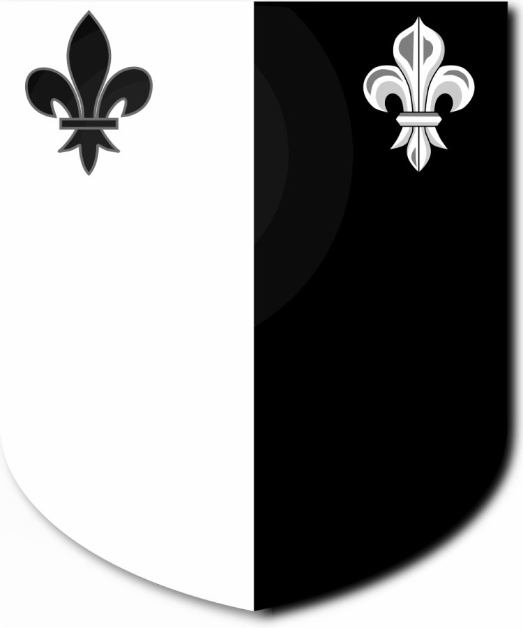 Shield image