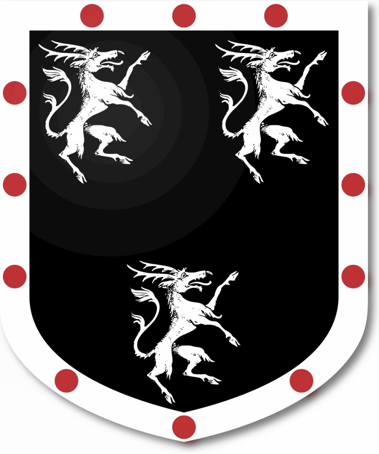 Shield image