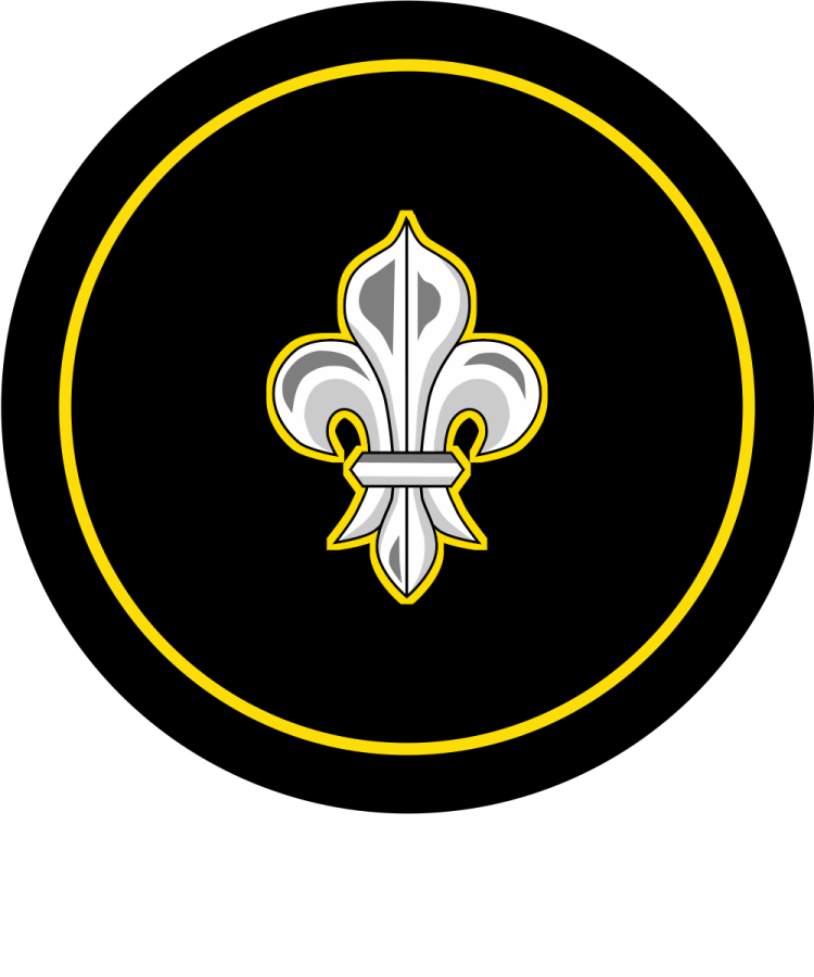 Shield image