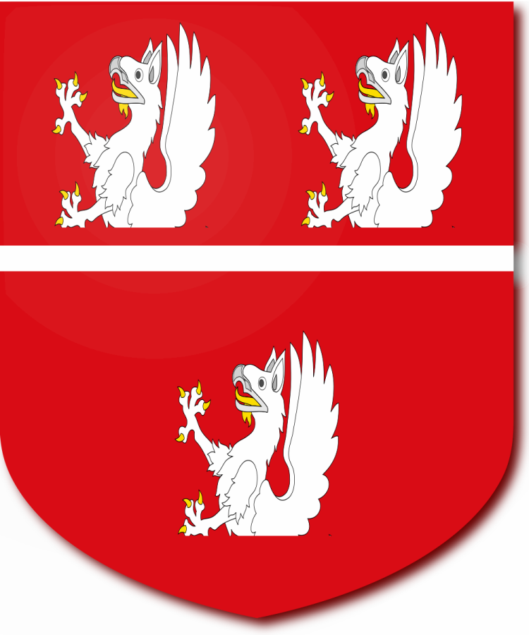 Shield image