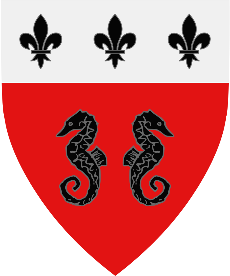 Shield image