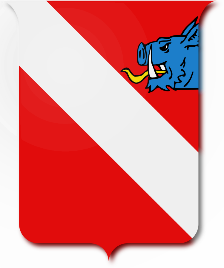 Shield image