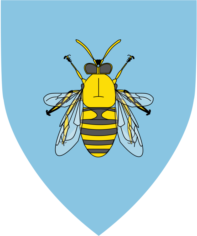 Shield image