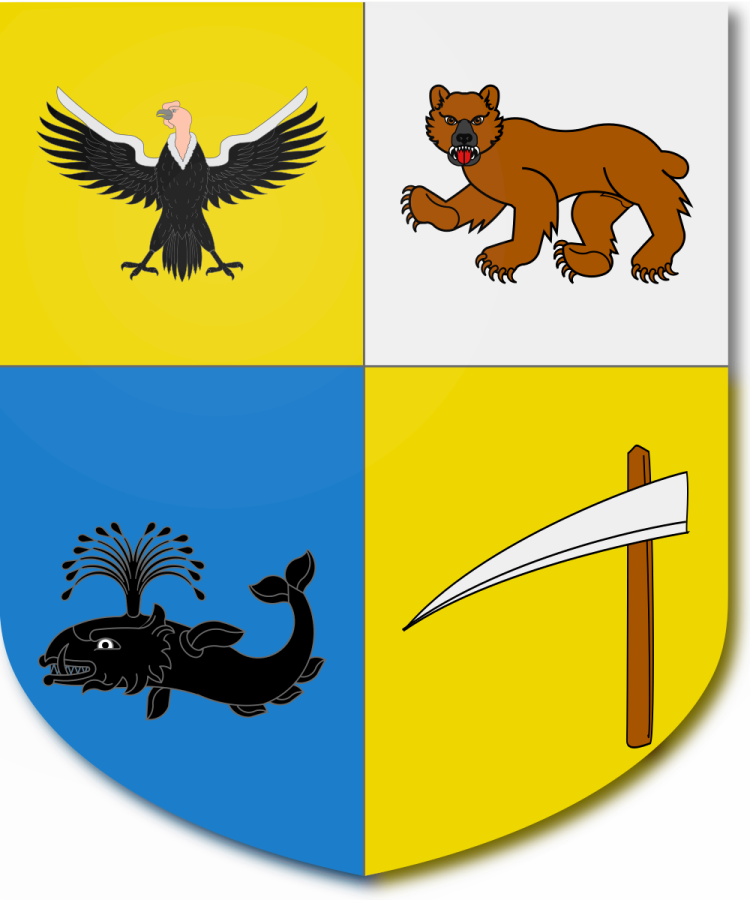 Shield image