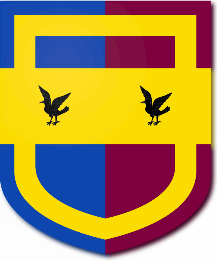 Shield image