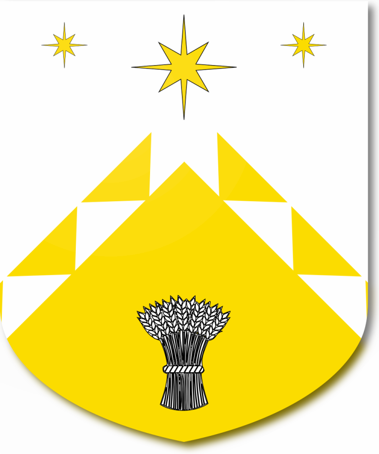 Shield image