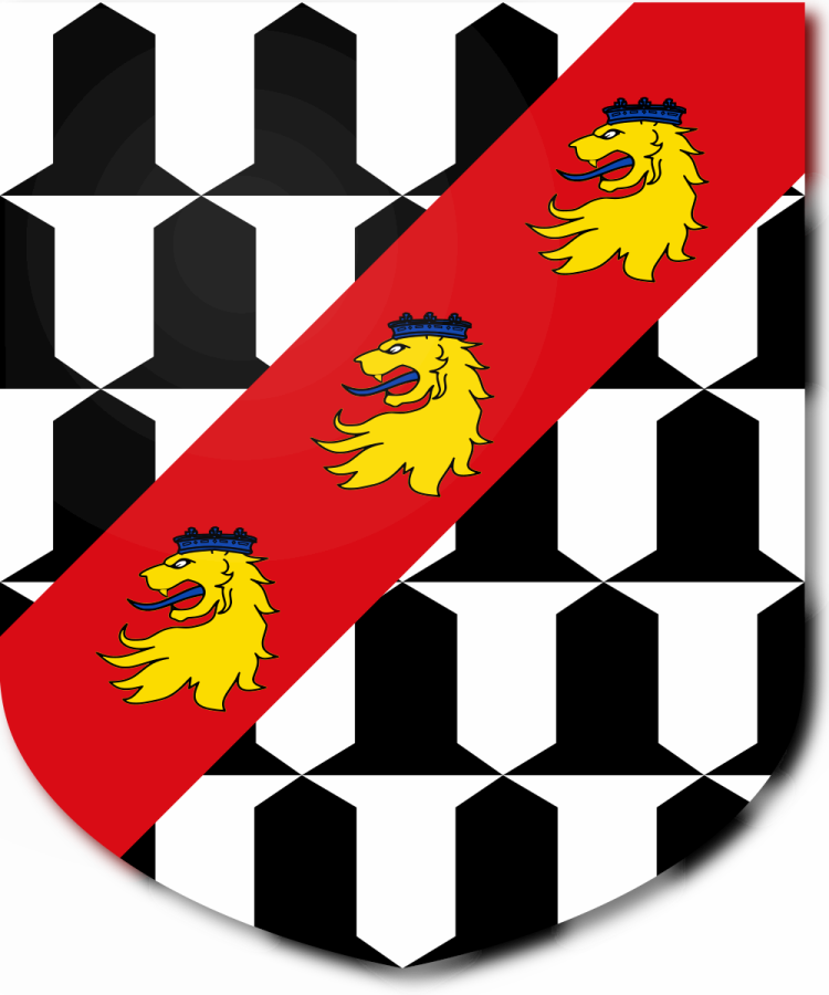 Shield image