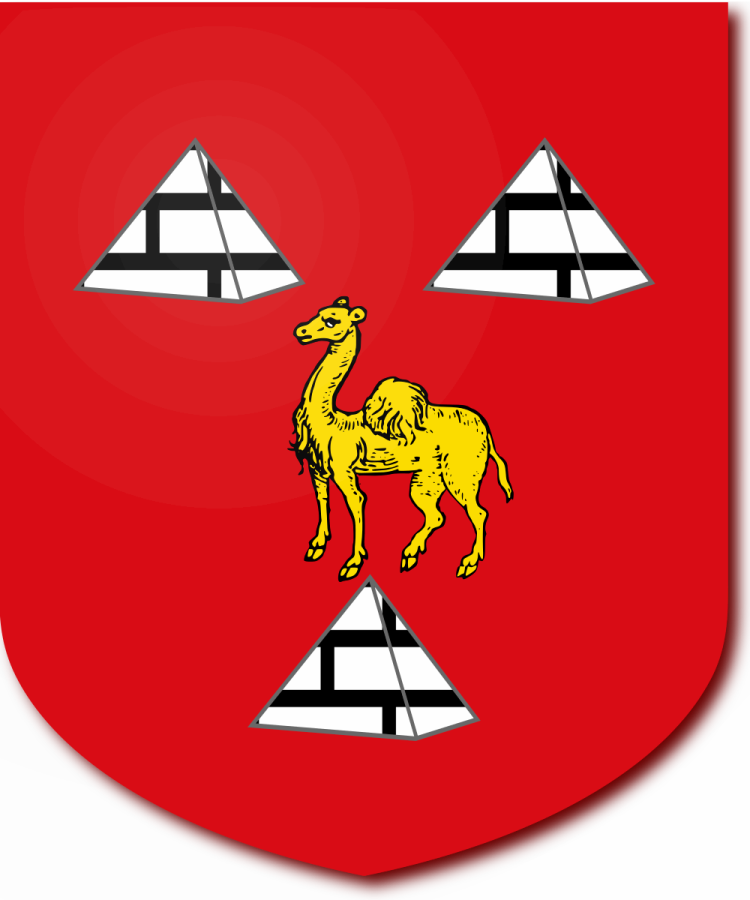 Shield image