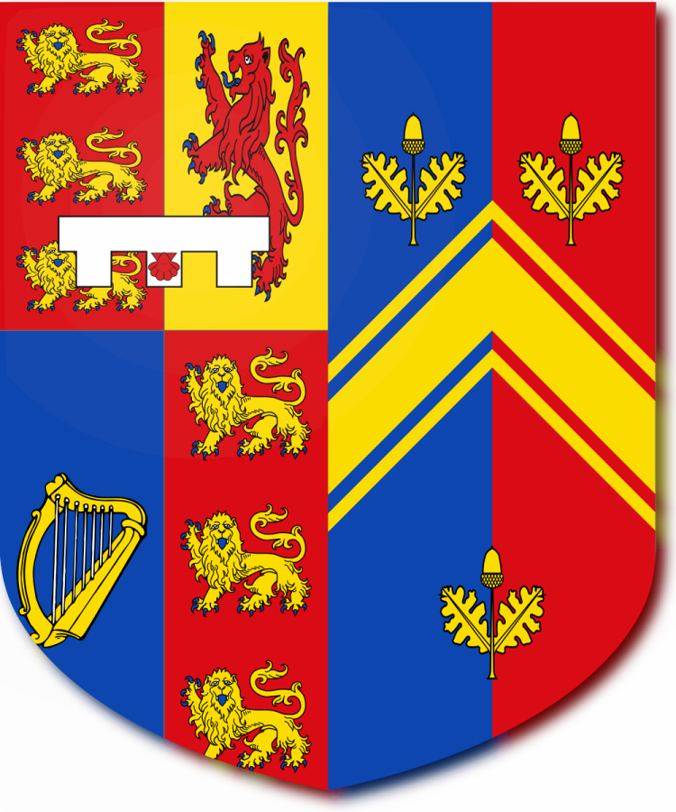 Shield image