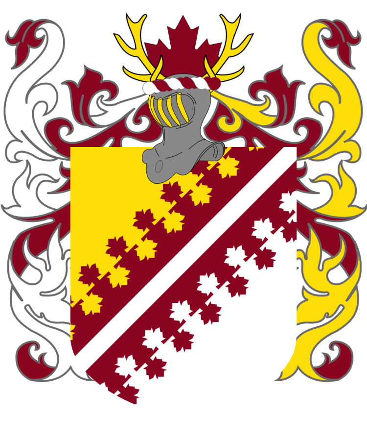 Shield image